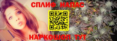 PSILOCYBIN Кулебаки