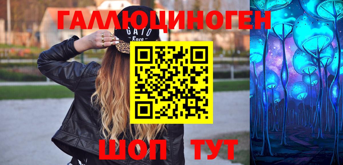 Кириши  как найти   Вход с VPN  Псилоцибиновые грибы мицелий 
