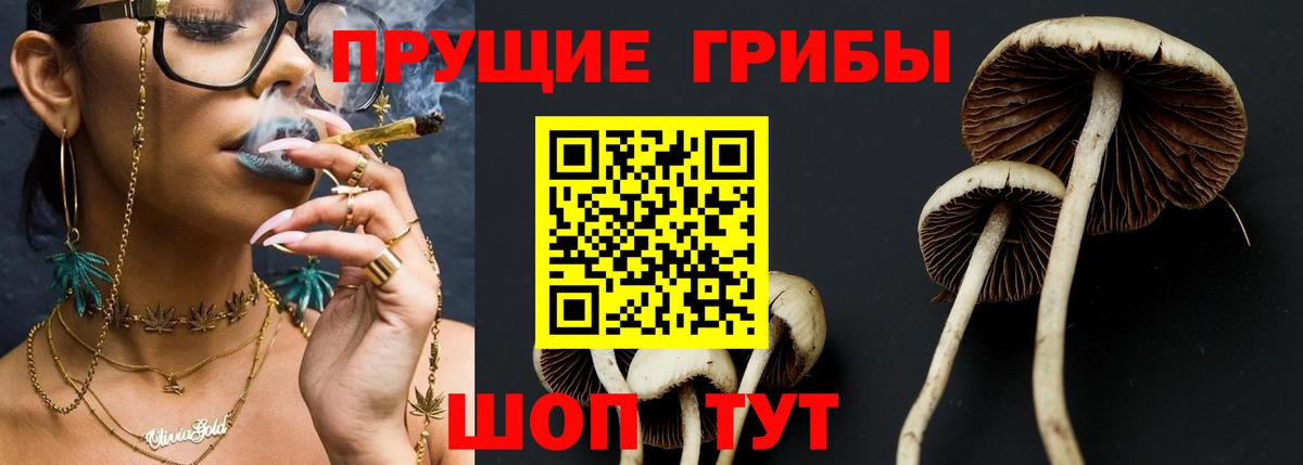 Псилоцибиновые грибы Psilocybe Кириши